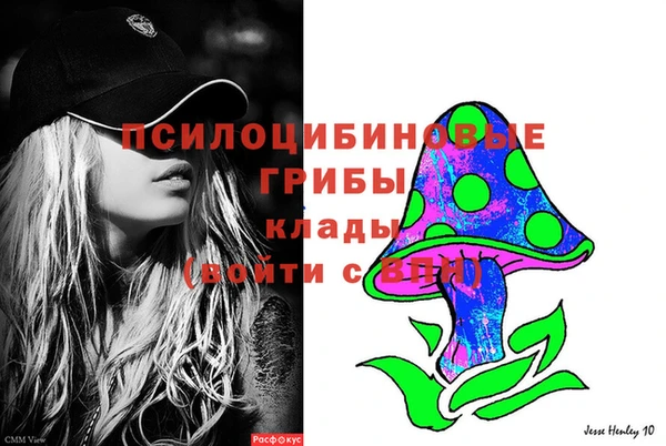 PSILOCYBIN Заволжск
