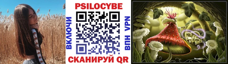 как найти закладки  Славск  МЕГА ТОР  Галлюциногенные грибы мицелий 